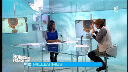 Vigneron et vignoble de Loire