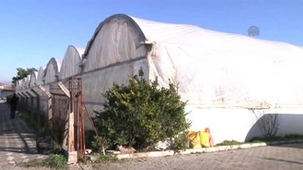 Çiçek Tutkusu Kadınlara Umut Oldu -Manisa