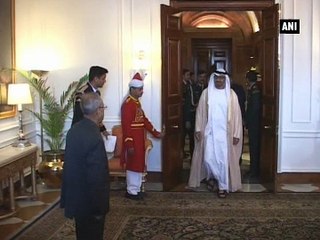 President Mukherjee meets UAE crown prince