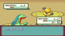 Lets Play Pokemon Saphir Edition Part 6: Troy, Faustauhaven & Kamillo!