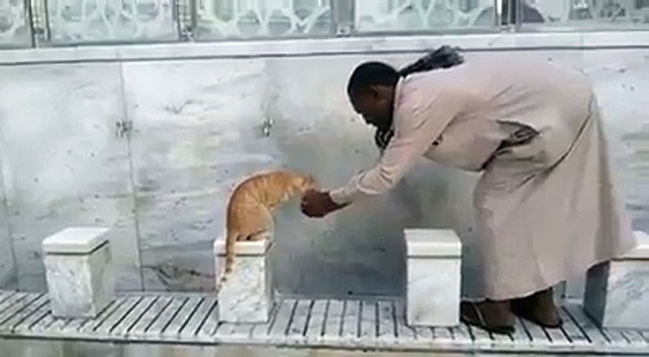 Great humanity