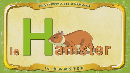 Multipédia des animaux. La lettre H - le Hamster