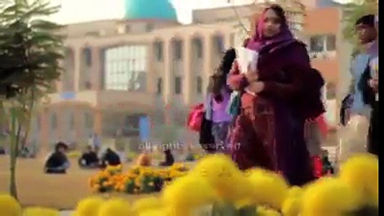 Numl walo dekho must watch this video