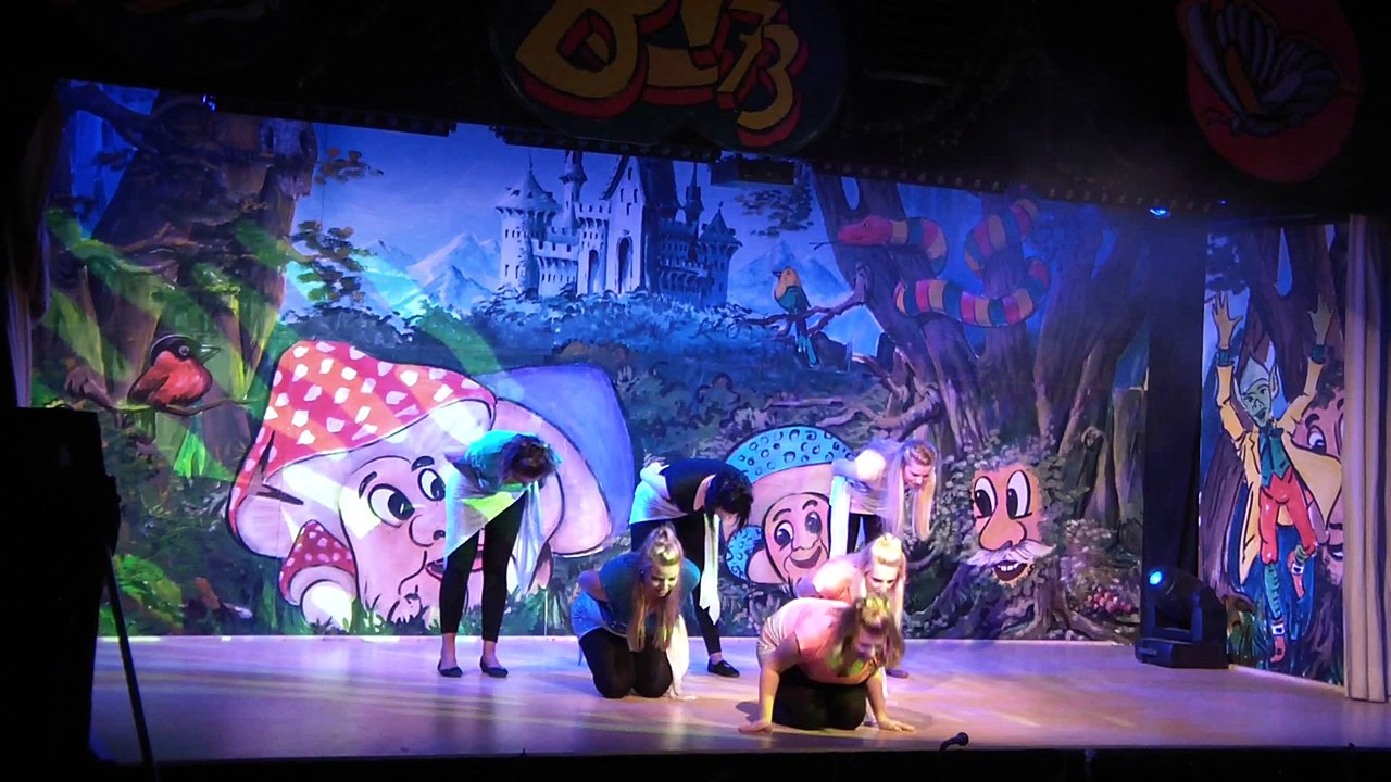 BCV-Sitzung 2013 - BCV Garde modern