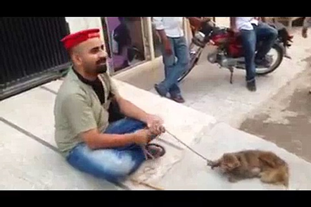 PTI Vs PML(N) Funny