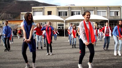 Flash Mob Collège le Massegu. Vif