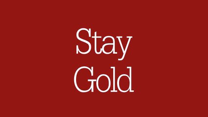 "Stay Gold" Sequence Animation | After Effect