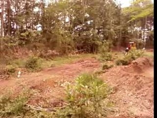 Prémier tour de béber