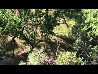 Realtree Outdoors - Wyoming