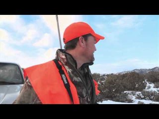 Dead Down Wind's Live the Wild Life - Colorado Mule Deer