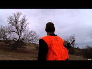 Silent Draw Outdoors - North Dakota Pheasant