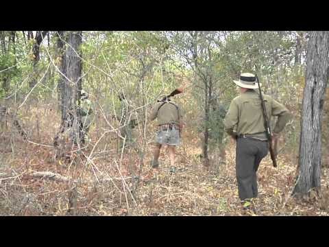 Dallas Safari Club's Tracks Across Africa - Big Bad & Close