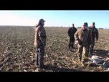 Hitmen Canada - Oklahoma Crane Bird Hunt