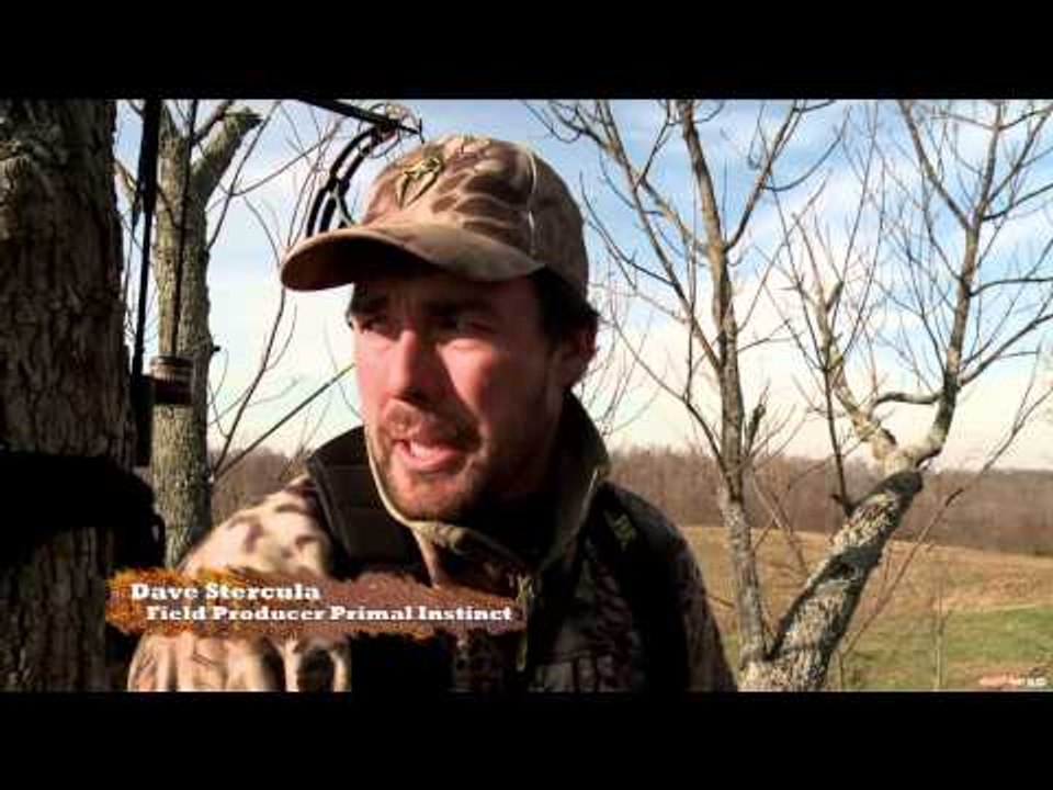 Primal Instinct - Ohio Payback
