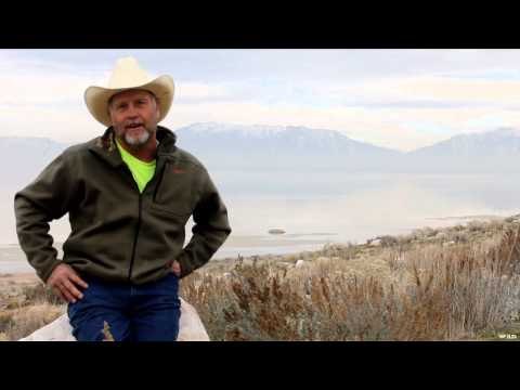 Where in the World is Colorado Buck? - Antelope Island - Mule Deer