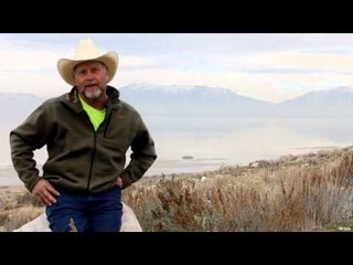 Where in the World is Colorado Buck?  - Antelope Island - Mule Deer