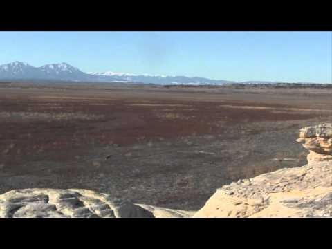 Predator Nation - Colorado Night Vision Hunting for Coyotes and Fox