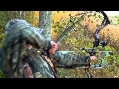 Adrenaline Junkies - Season Preview