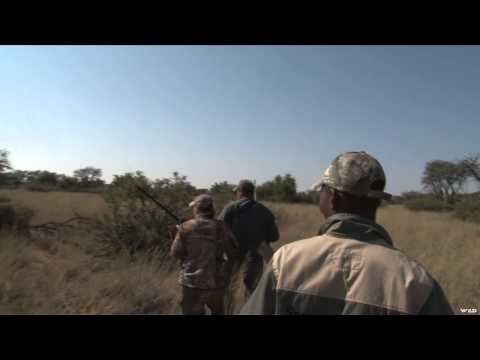 Outdoor Quest TV - Lion in South Africa