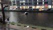 4 hommes plongent pour sauver une femme et son enfant coincés dans une voiture en train de couler dans un canal à Amsterdam