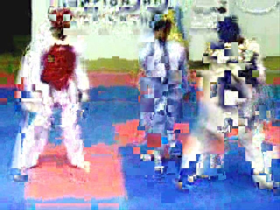 adil bin talat pakistan taekwondo champion vs faqeer hussain naqvi  in ranking 2009