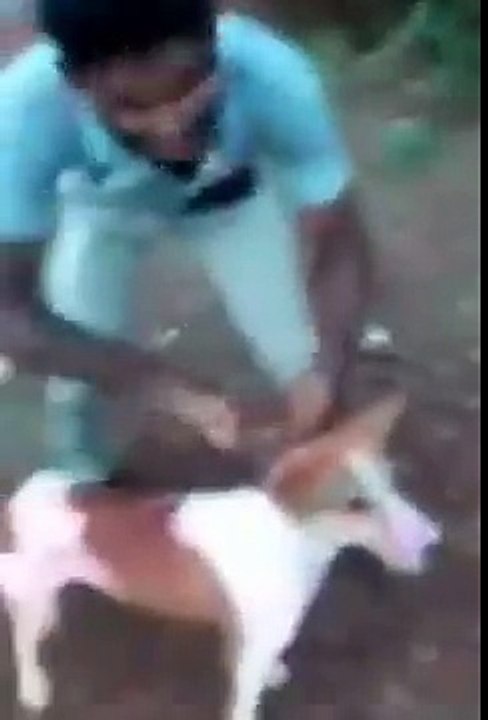 world's most dangerous - Funny Video Clips- Funny Videos  funny videos