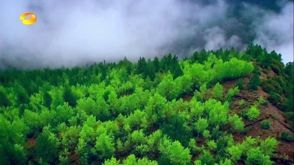 青丘狐传说 04丨Legend of the Qing Qiu Fox 04（古力娜扎、蒋劲夫、小彩旗）