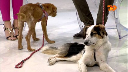 Ne Shtepine Tone, 11 Shkurt 2016, Pjesa 1 - Top Channel Albania - Entertainment Show