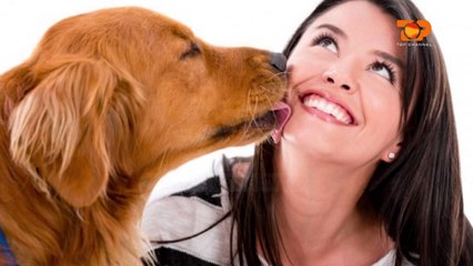 Ne Shtepine Tone, 11 Shkurt 2016, Pjesa 2 - Top Channel Albania - Entertainment Show