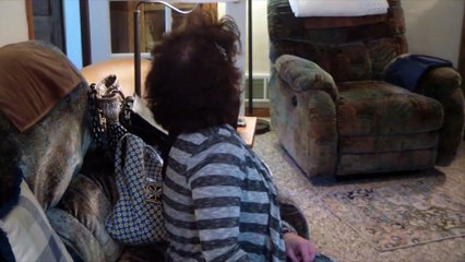 Impressive Dog Fetches Himself A Snack