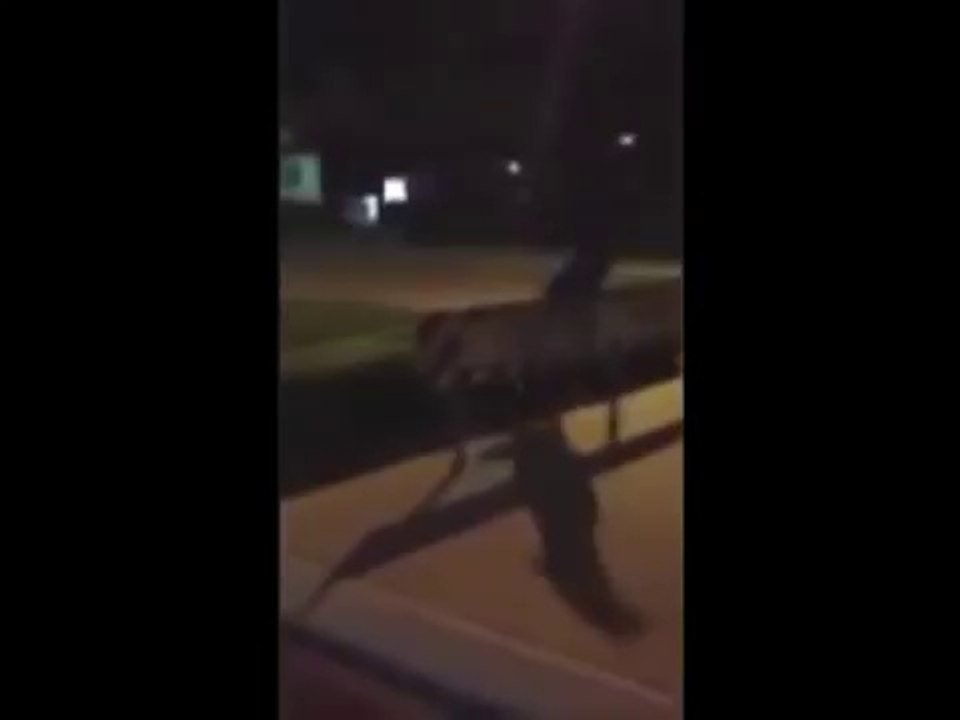 Музыкальные приколы! Смотри до конца, Мега ржач...