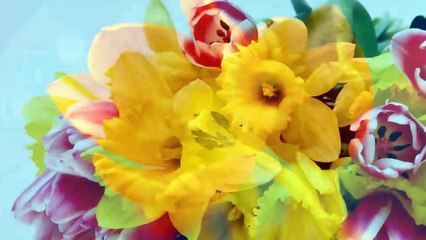 Flowers slideshow(3)