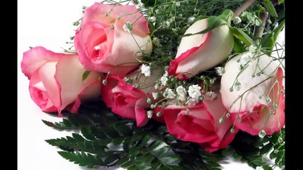 flowers slideshow