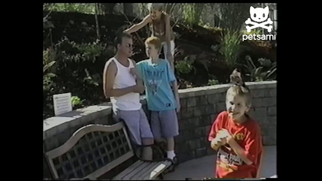 Kids gets covered in bird poop
