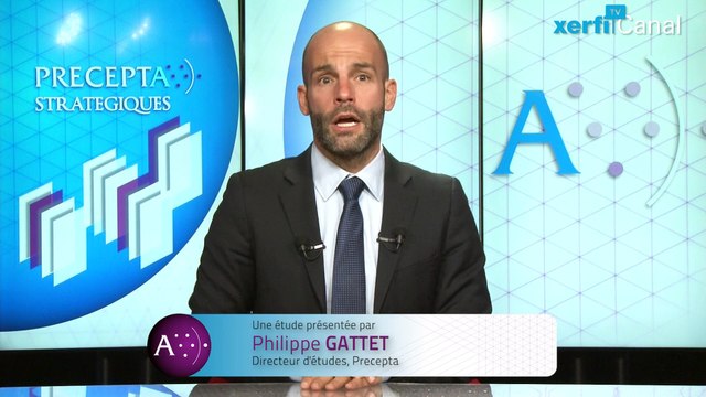 Xerfi Precepta, Les stratégies gagnantes des médias jeunesse