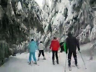 Карпаты . Катаюсь на лыжах в горах. Adrenalin
