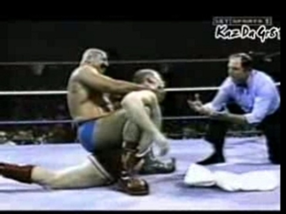 WWF Desire - NWO