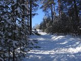 Мое падение на лыжах на горке 12.03.2006 (Орехово)