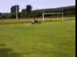 Tout en weling yz