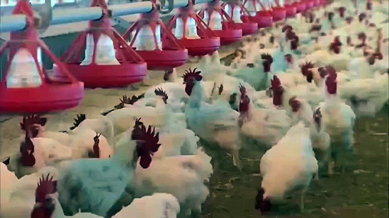 37 Indian/RAW agents workin in Ramzan Sugar Mills who r not allowed to talk, speak to any1?