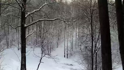на лыжах ЖЕСТЬ !!!.AVI