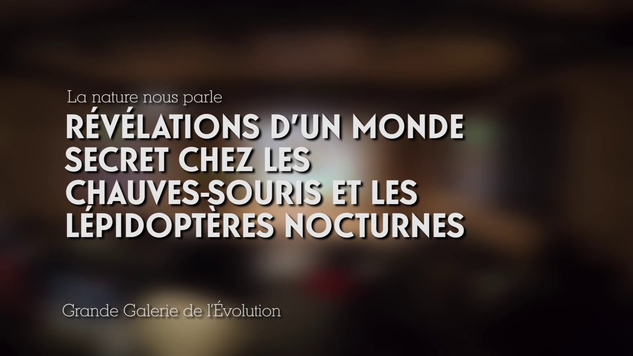 Révélations d’un monde secret chez les chauves-souris et les lépidoptères nocturnes (cycle La Nature nous parle 2/5)