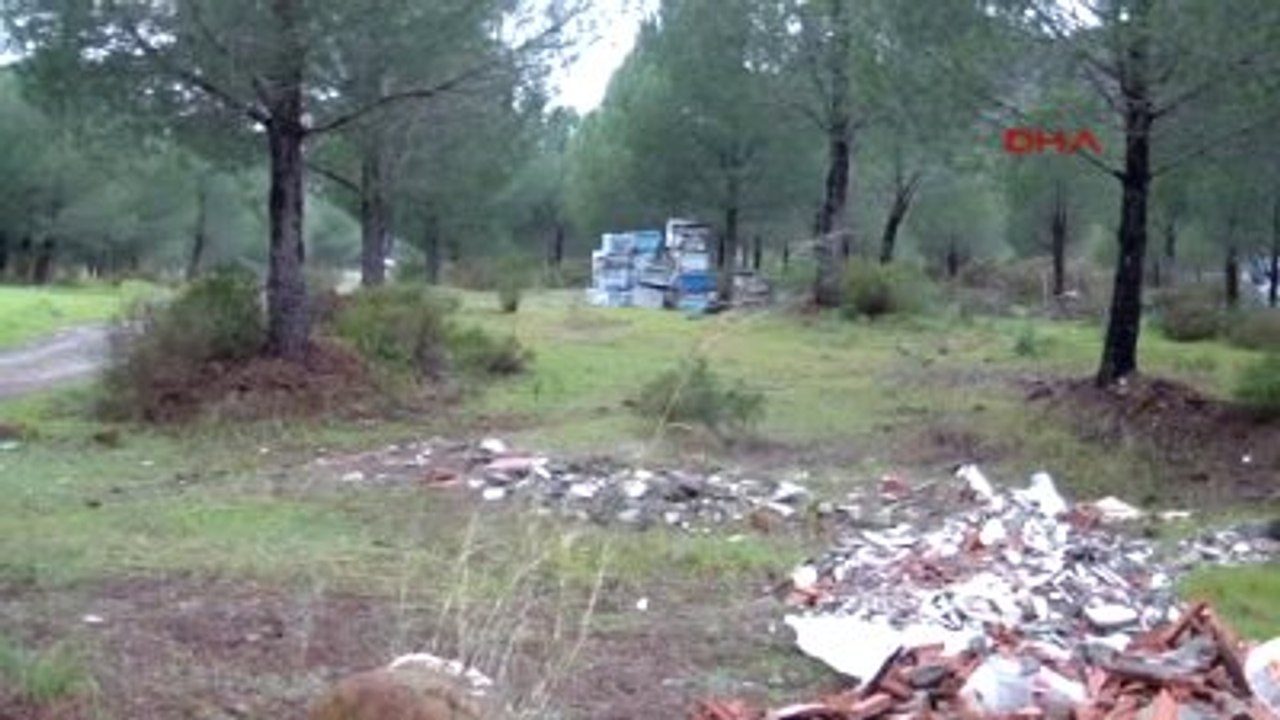 Marmaris'te Moloz Mesaisi