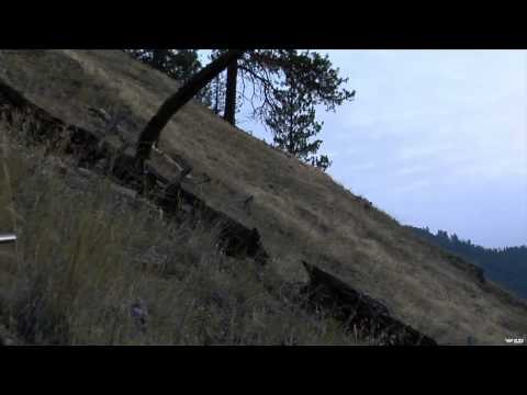 Nosler's Magnum TV - Magnum Bighorns