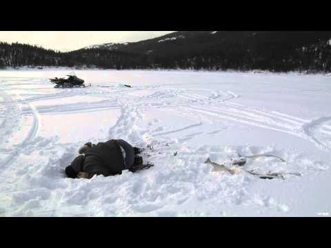 Adventures North - Kuururjuaq Park Adventure Part 1