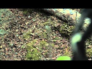 The EDGE - Trouble Bruin Part One