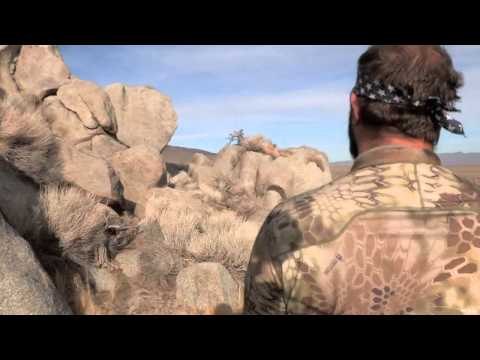 Dead Dog Walkin' - Here Kitty Kitty