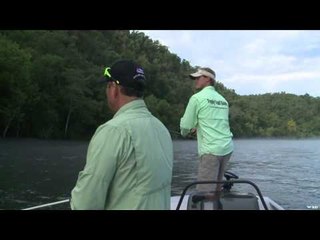 G3 Sportsman - Stick Bait Browns