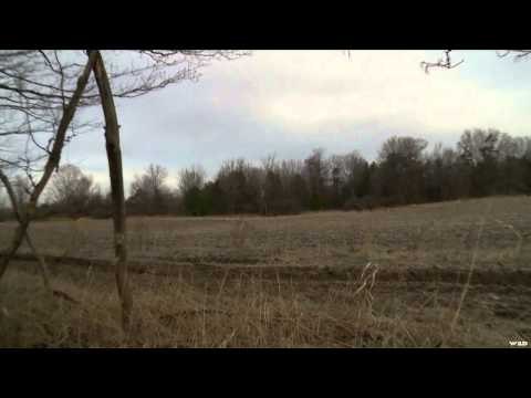 Hunt TV - Ontario Coyotes and Wolves