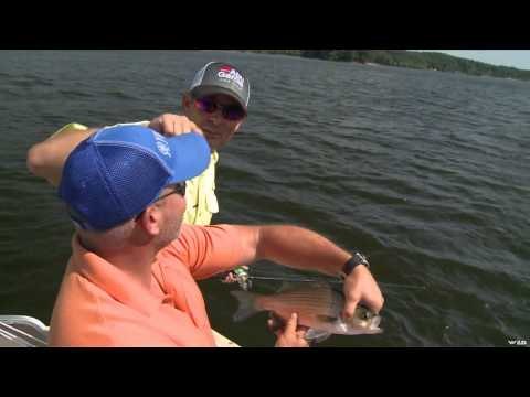 G3 Sportsman - Summer Jigging